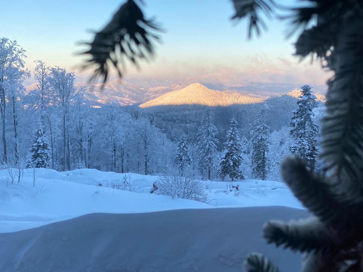 Konak 1400 Tara Mokra Gora Bagian luar foto