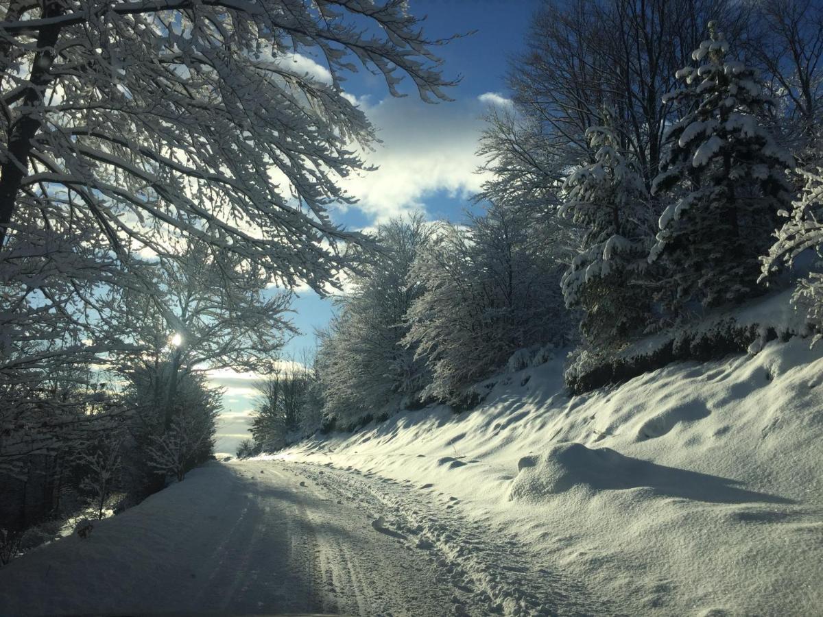 Konak 1400 Tara Mokra Gora Bagian luar foto
