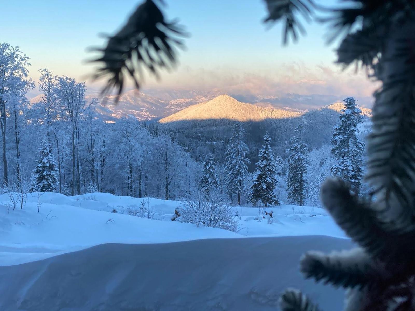 Konak 1400 Tara Mokra Gora Bagian luar foto